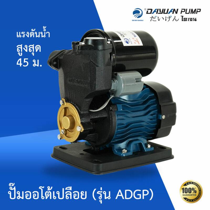 dayuan pump