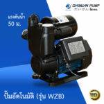 ปั๊มออโต้เปลือย รุ่น WZB