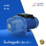 ปั๊มเจ๊ทคู่ ดูดลึก รุ่น LD