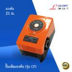 ปั๊มน้ำเพิ่มแรงดัน (รุ่น CP)